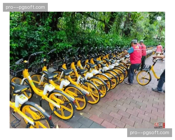 通讯：退役五年后，传奇门将隆戈的社区冰场公益事业