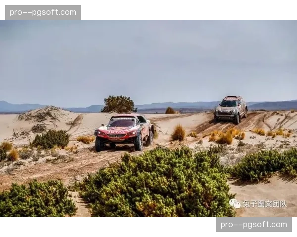 本周末巴西彼得罗波利斯将迎来耐力系列赛首战，天气成关键变量